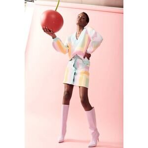 Olivia Rubin Sweater Pastel V-Neck Large